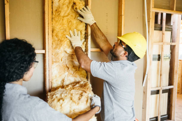 Types of Insulation We Offer in Spencerville, MD