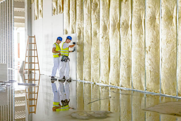 Best Insulation for New Construction  in Spencerville, MD